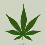 Virginia! Before Indulging- Know New State Law On Marijuana Use