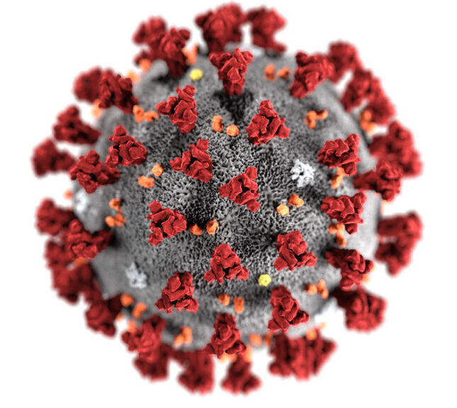 Coronavirus-VDH