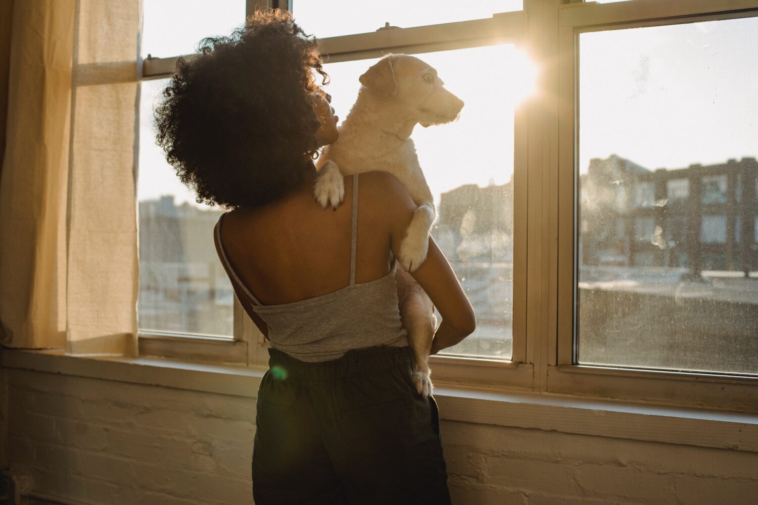 Photo by Samson Katt from Pexels: https://www.pexels.com/photo/black-woman-holding-dog-near-window-5256719/