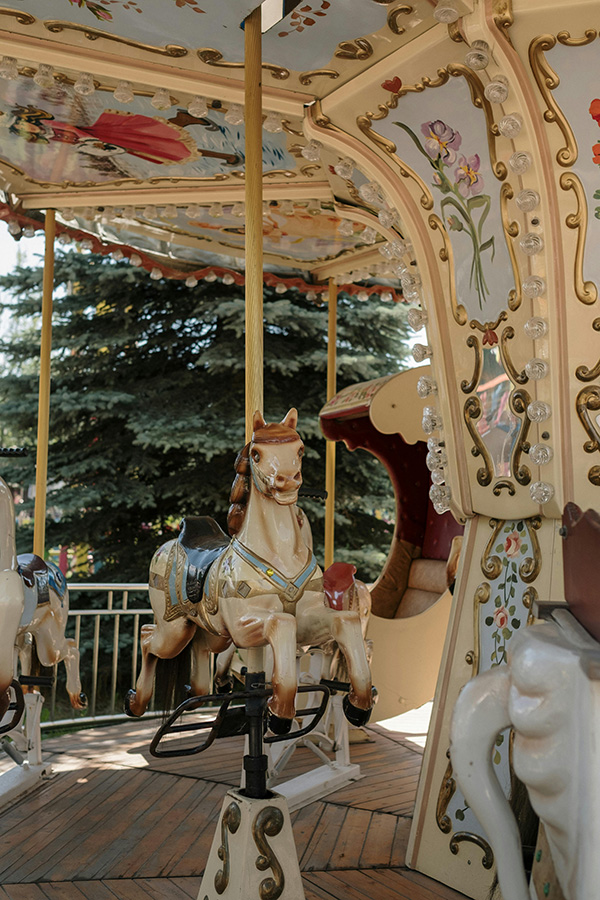 Photo by Ron Lach : https://www.pexels.com/photo/horse-of-ornate-vintage-carousel-9652917/