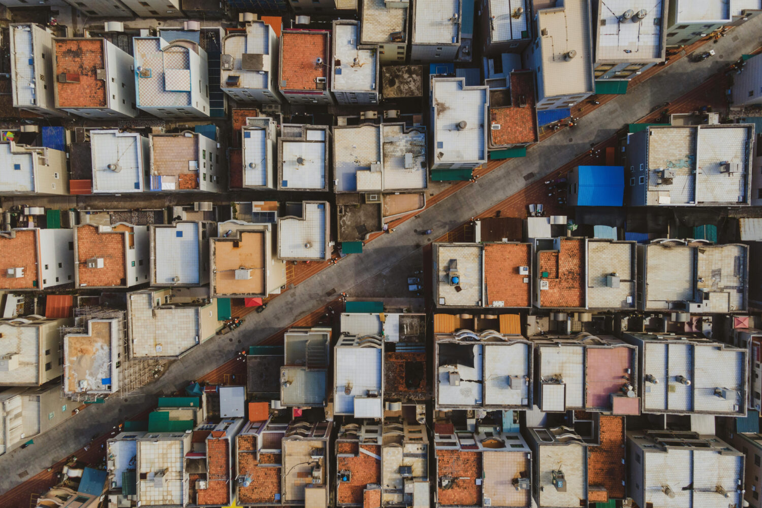 pexels-zhicheng-zhang-312594413-27127365 copy